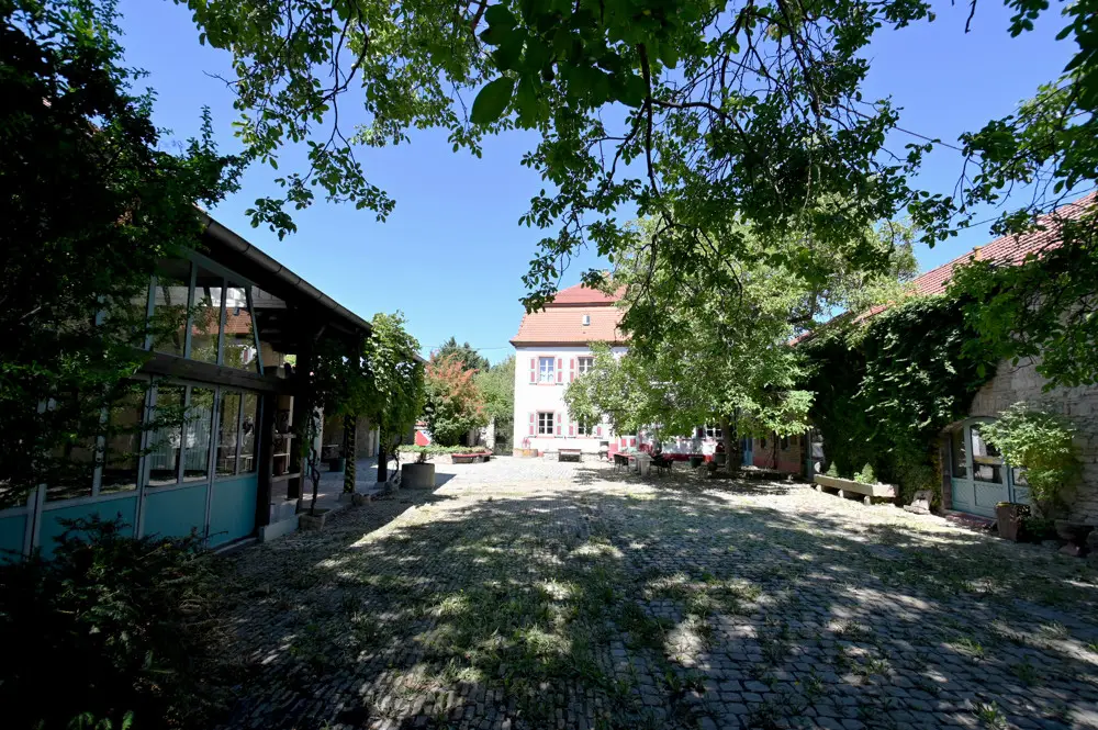 Large Image