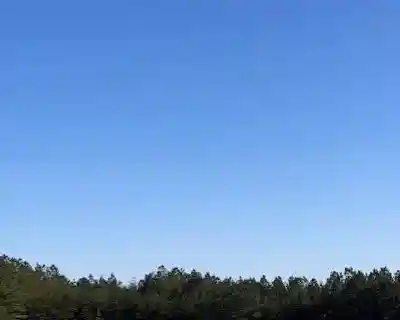 Create Your Private Paradise