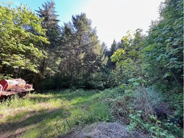 Small Image