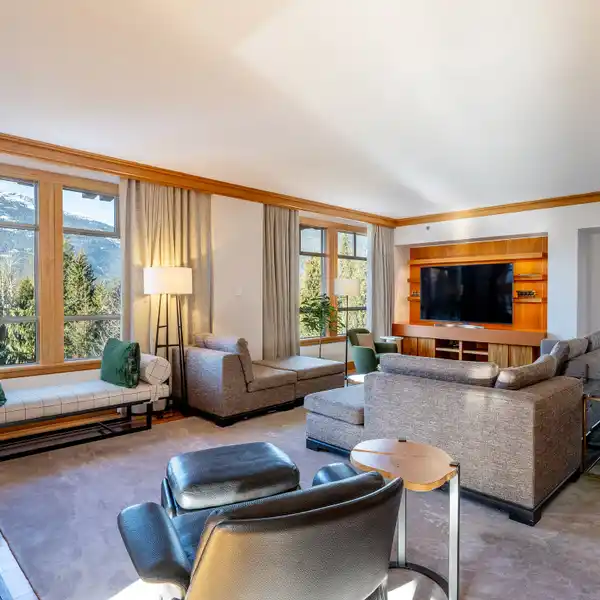 MOUNTAIN VIEW PRESIDENTIAL SUITE