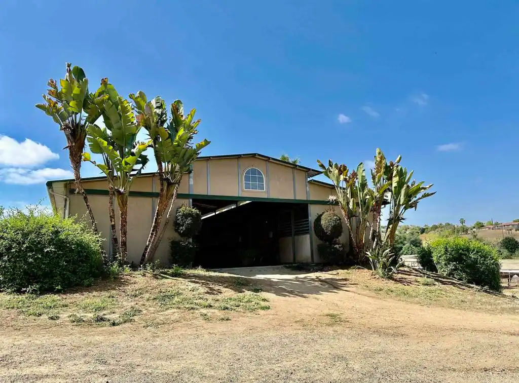 Vibrant Equestrian Oasis