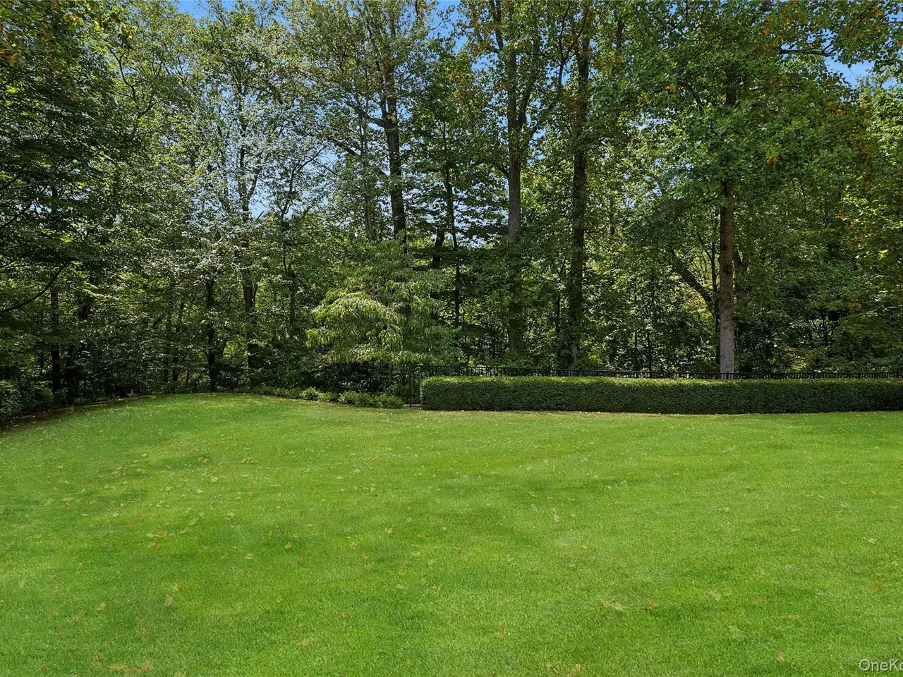 Small Image