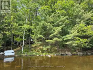 82 Acre Lakefront Property with Endless Possibilities