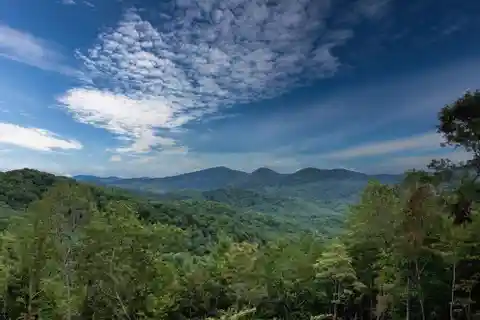 80-Acre Creekfront Haven Near Toccoa River
