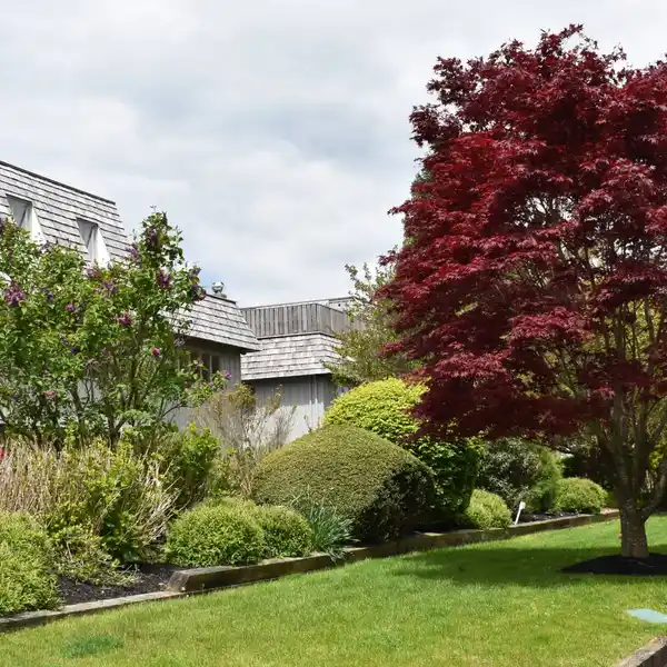 Residential Lease