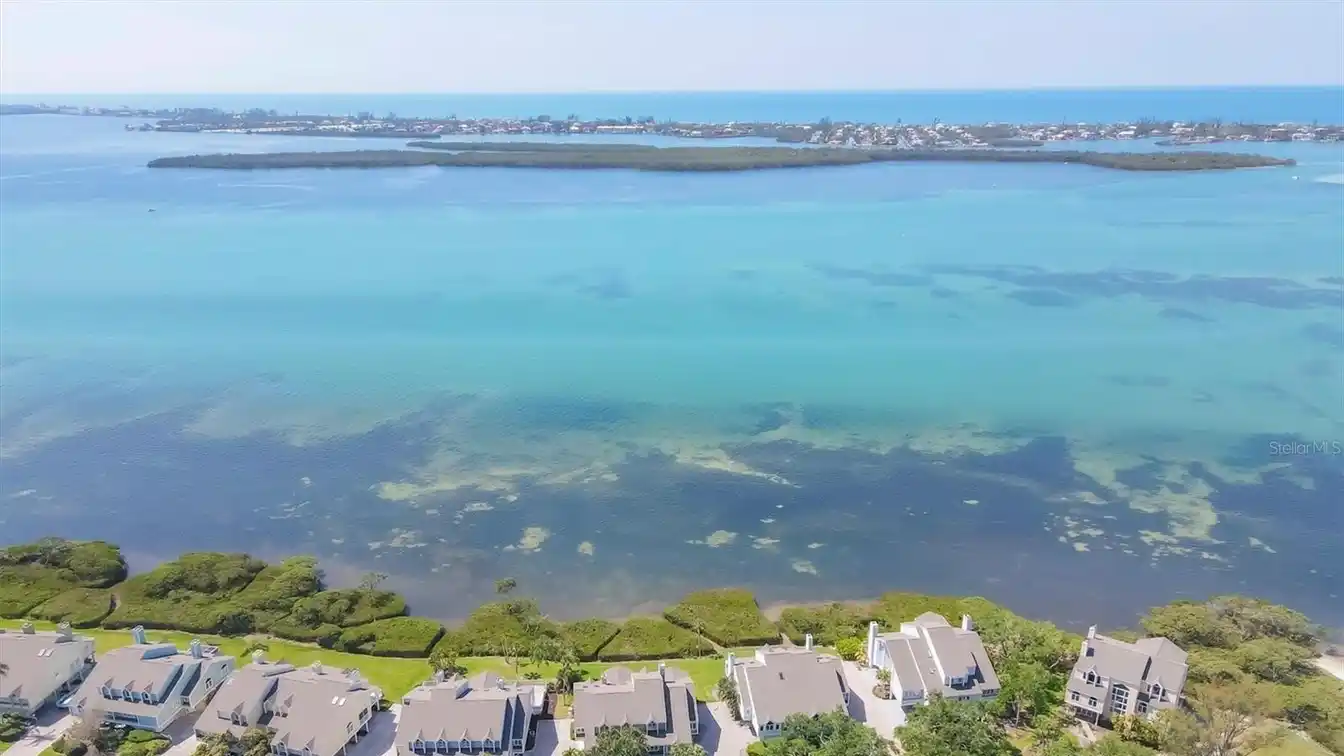 Luxury Living on Tidy Island