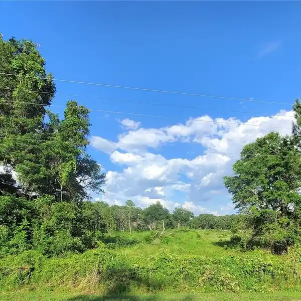 OVER 32 ACRES IN MARION COUNTY