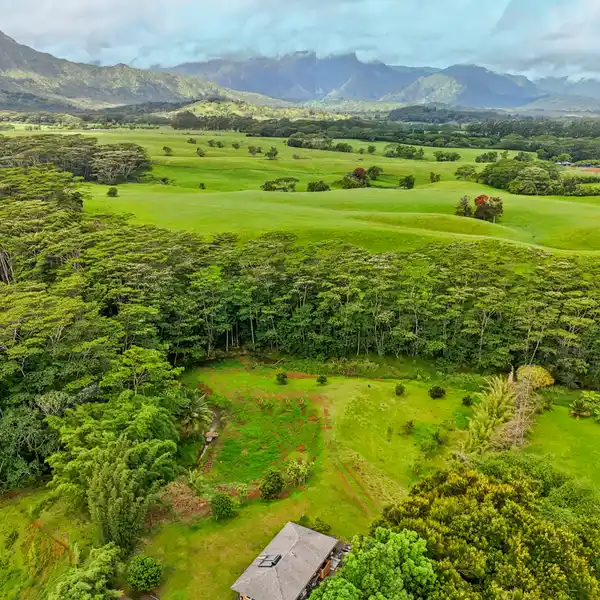 REJUVENATED HOME ON ACREAGE