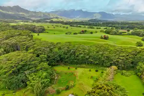 Rejuvenated Home on Acreage