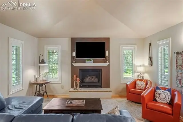 Large Image