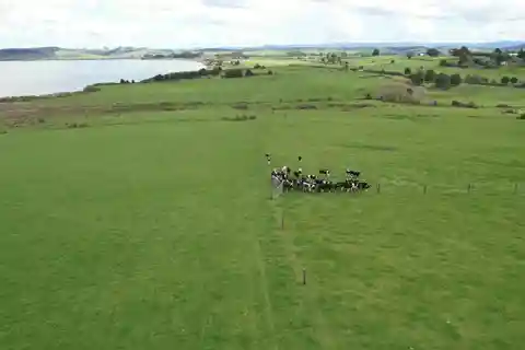 Exceptional Lakefront Property