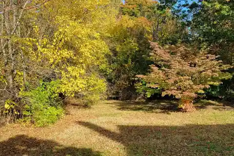One-of-a-kind Two-acre Property