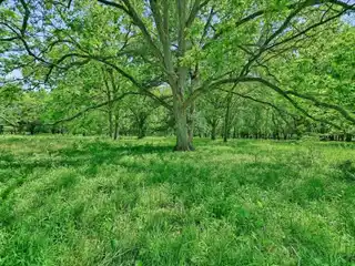 An Untouched Paradise