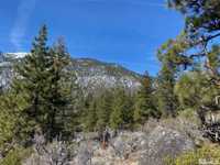 EXCEPTIONAL SITE IN CLEAR CREEK TAHOE