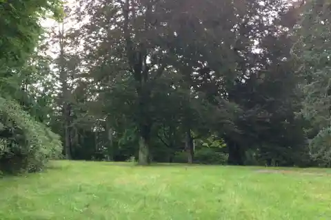 Beautiful Level Property