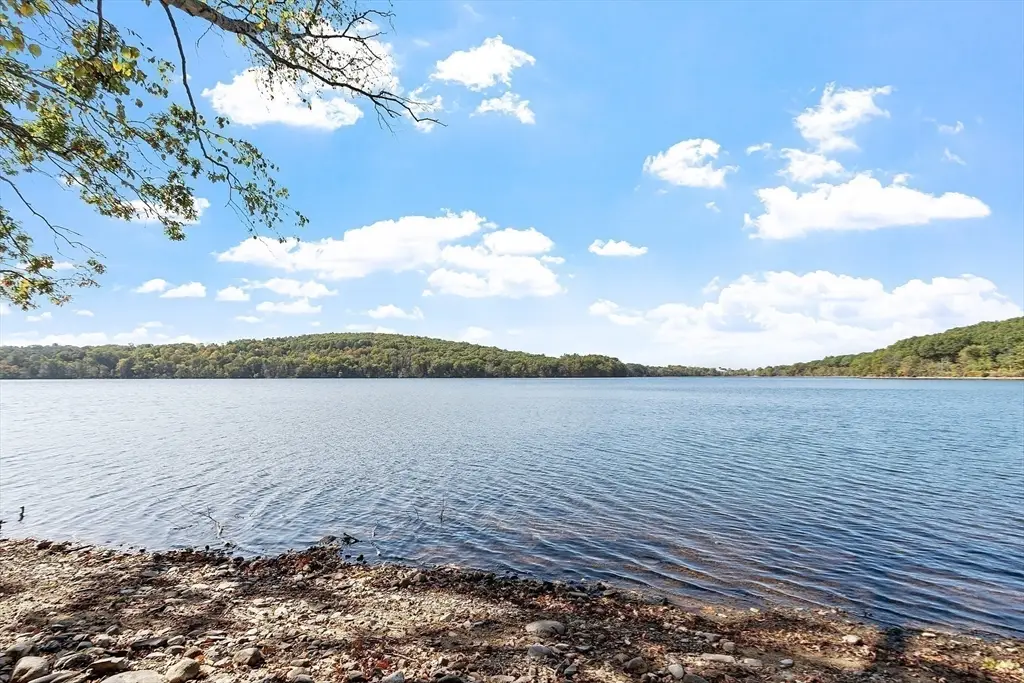 Large Image