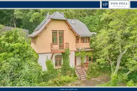 Rarity at the Edge of the Forest on a Dreamlike Property