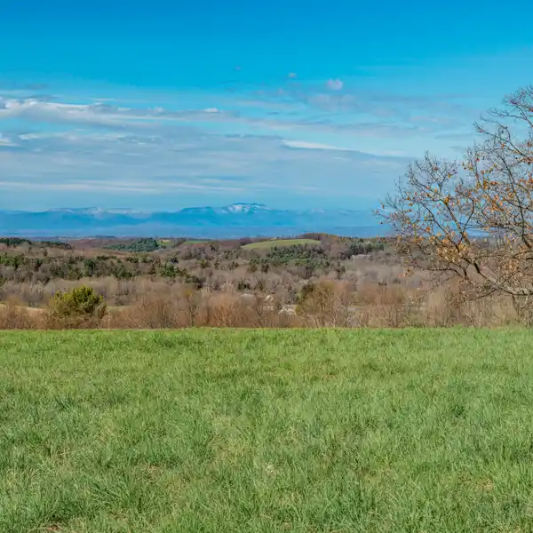 CENTRALLY LOCATED 101 ACRES