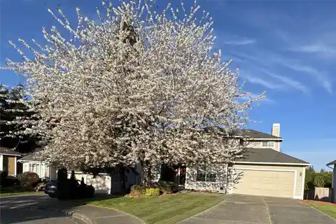 Updated Home on a Private Lot in Sought-after Summerwind