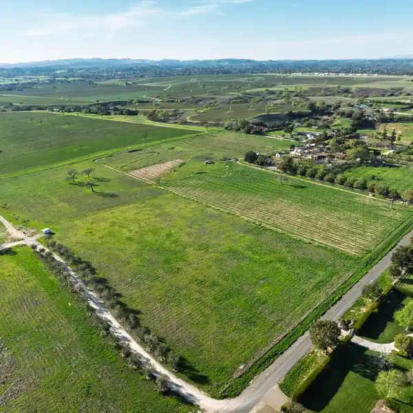 FIVE ACRES FOR A NEW DREAM ESTATE