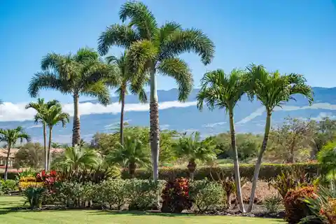 Custom Home in the Hokulani Golf Villas