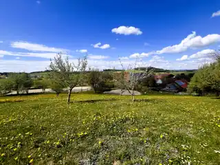 Expansive Equestrian Property