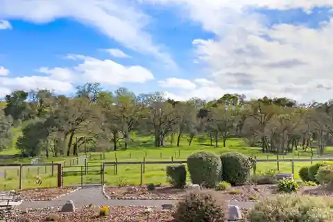 Single-story Ranch Home with Wonderful Meadow Views