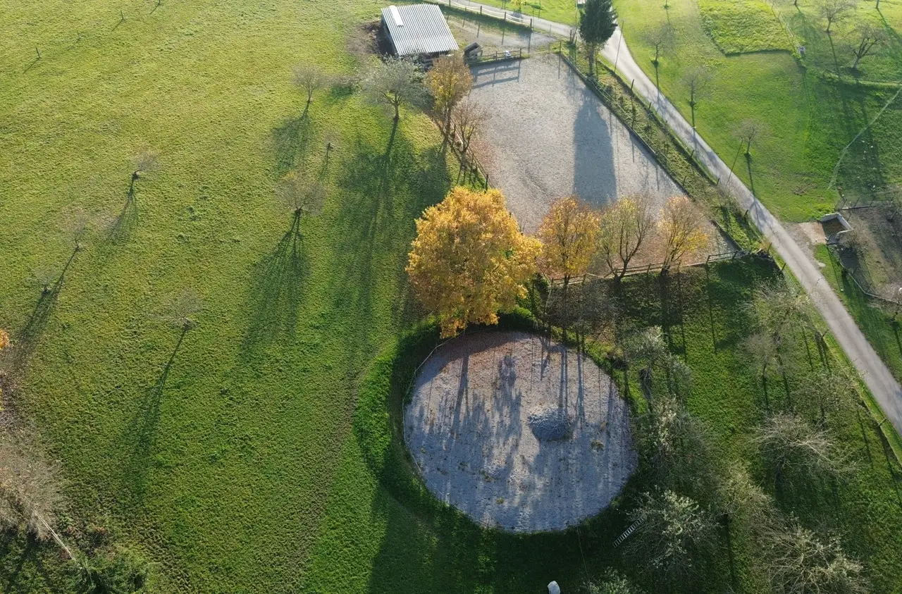 Large Image
