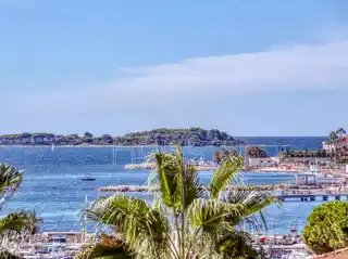 Chic Palm Beach Apartment with Sparkling Sea Views