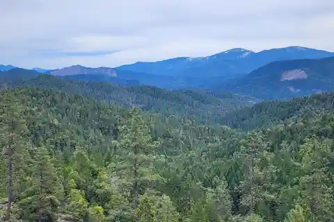 Versatile 320-acre Property