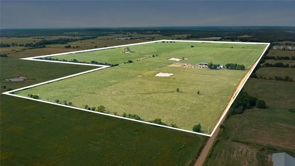 Large Image