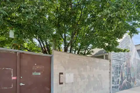 Truly One-Of-A-Kind Bucktown Home