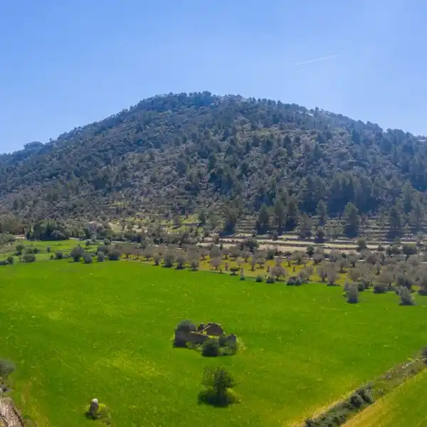 PRETTY RUSTIC FINCA WITH A HOUSE TO RENOVATE NEAR ORIENT