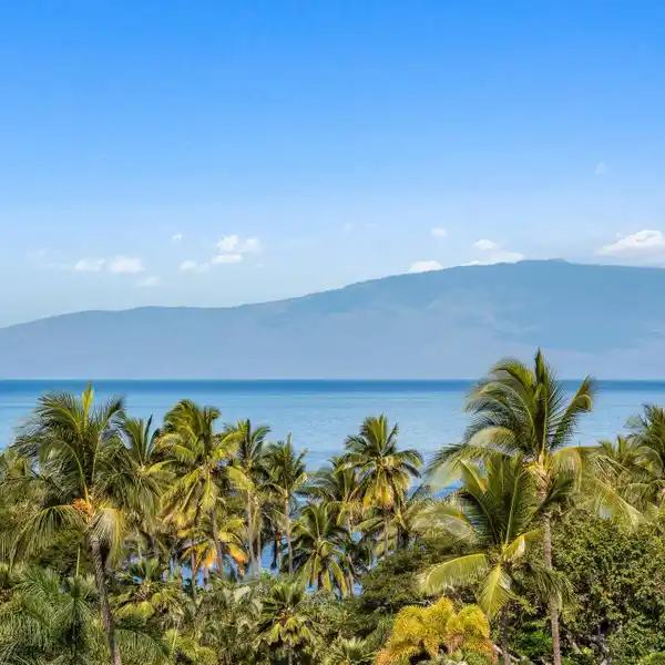 BEAUTIFULLY REMODELED TOP-FLOOR UNIT AT WAILEA PALMS RESIDENCES