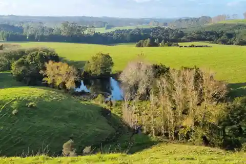 Come Build Your Dream Home on This Large Holding of 222 Acres