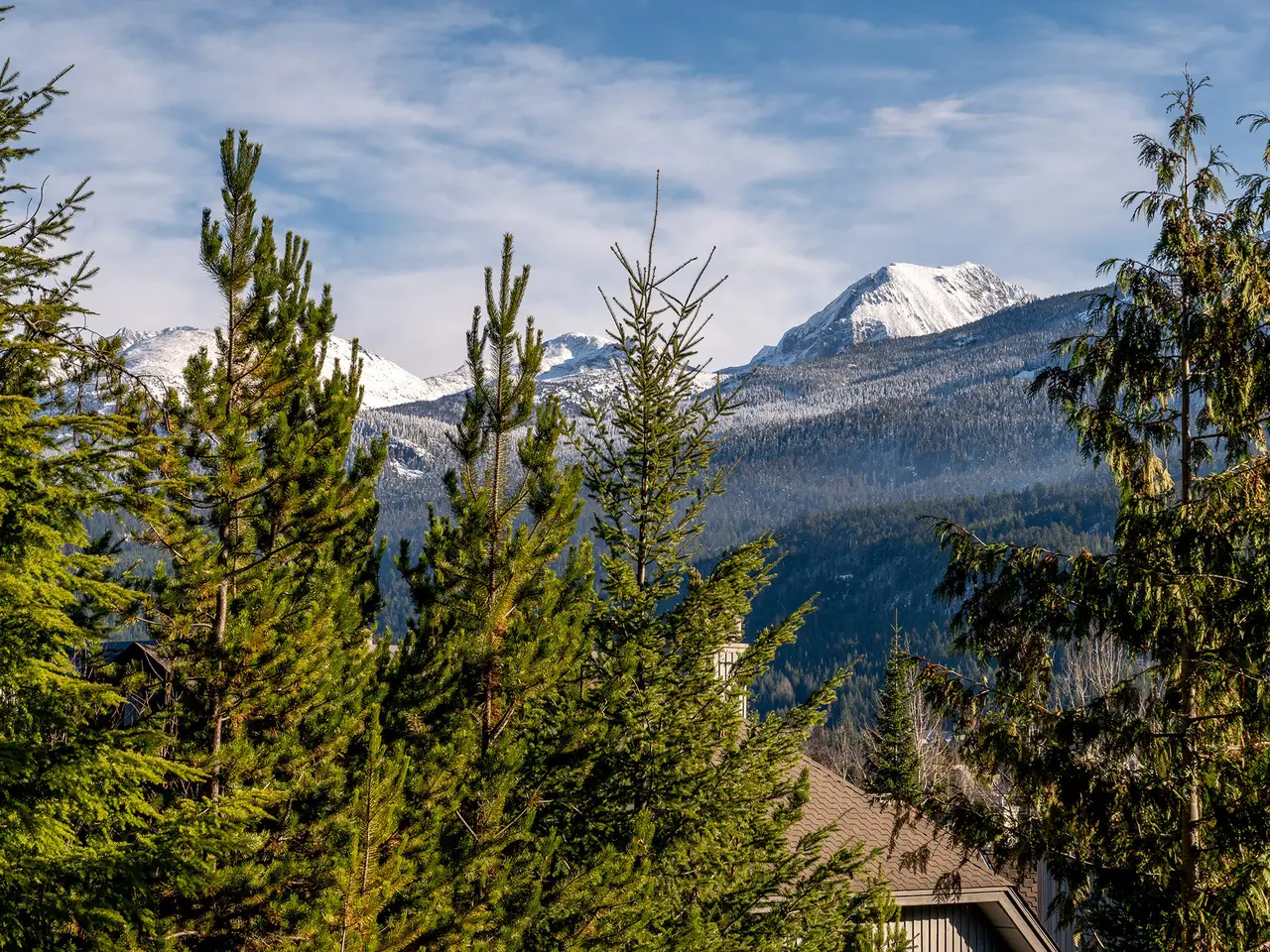 Large Image
