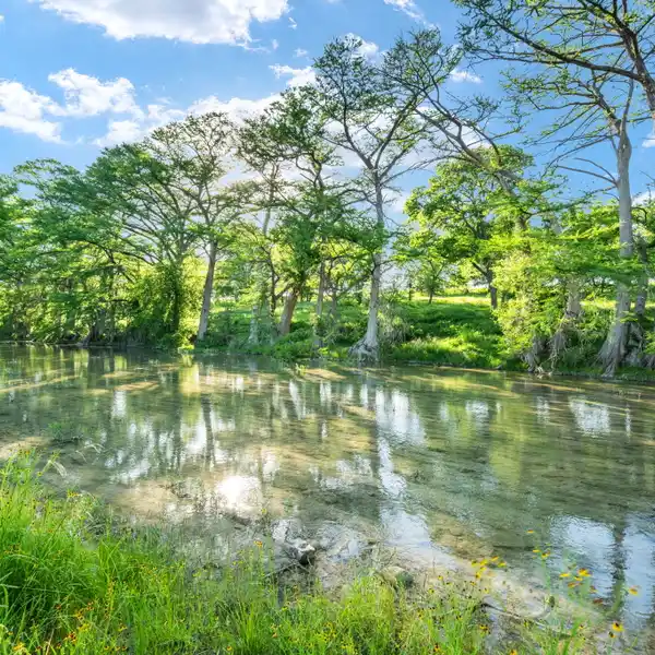 WONDERFUL 15.23-ACRE PROPERTY