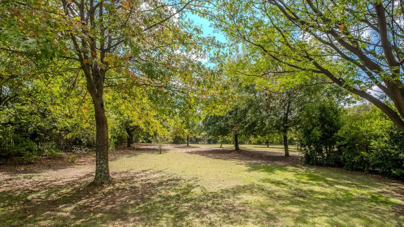 Versatile Property in a Lovely Setting