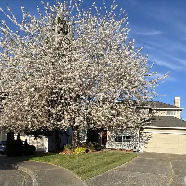 UPDATED CUL-DE-SAC GEM