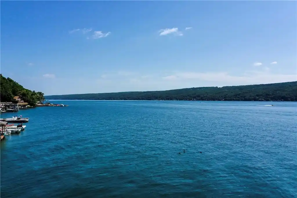Large Image