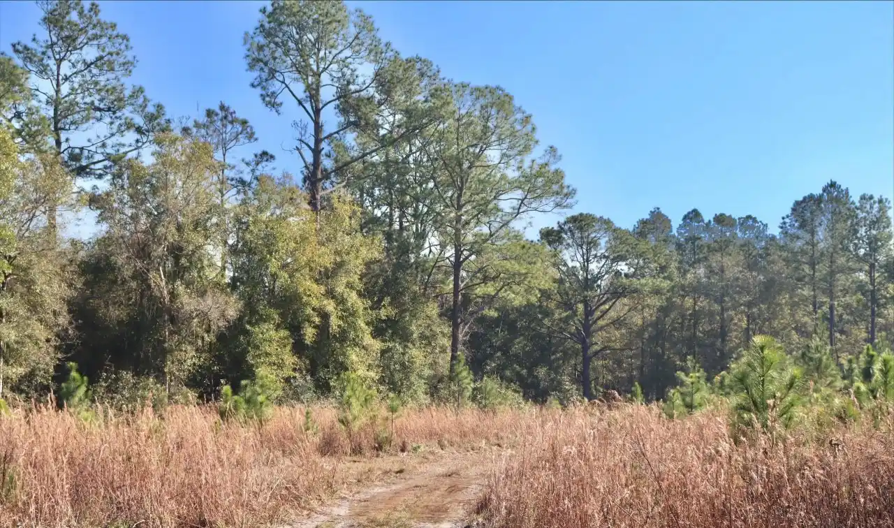 42 Prime Acres