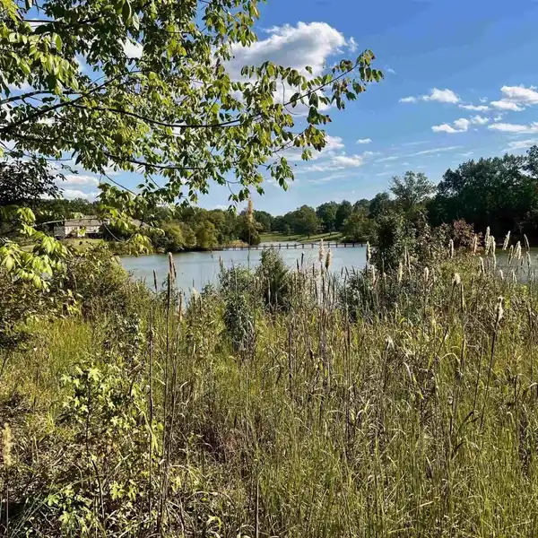 27.5 ACRES OVERLOOKING PRIVATE JAMES LAKE