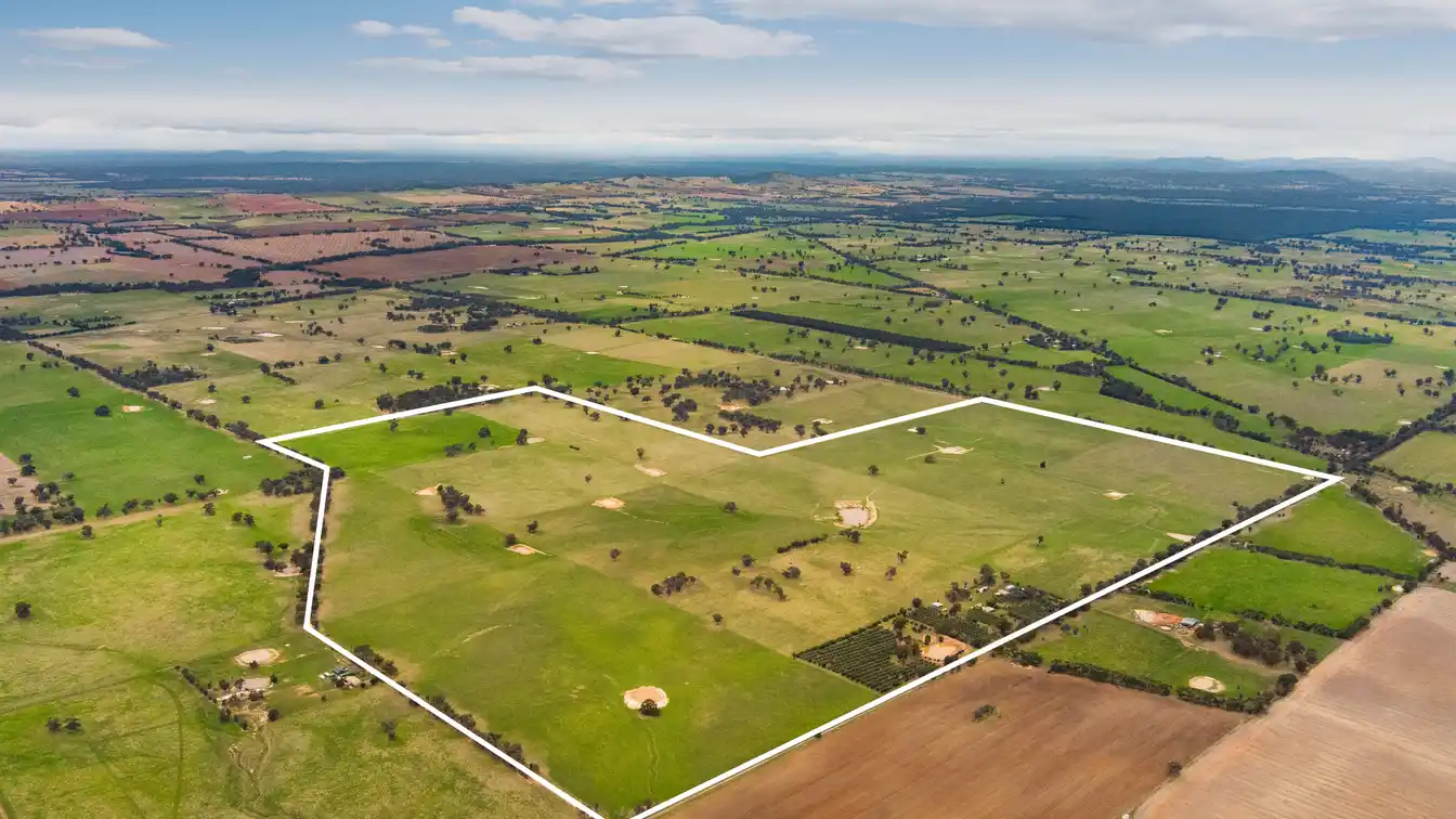 Expansive Farm Land Ideal for Cropping and Grazing