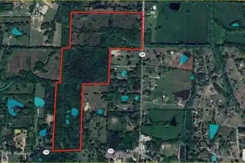101 Acres in the Heart of Fisherville