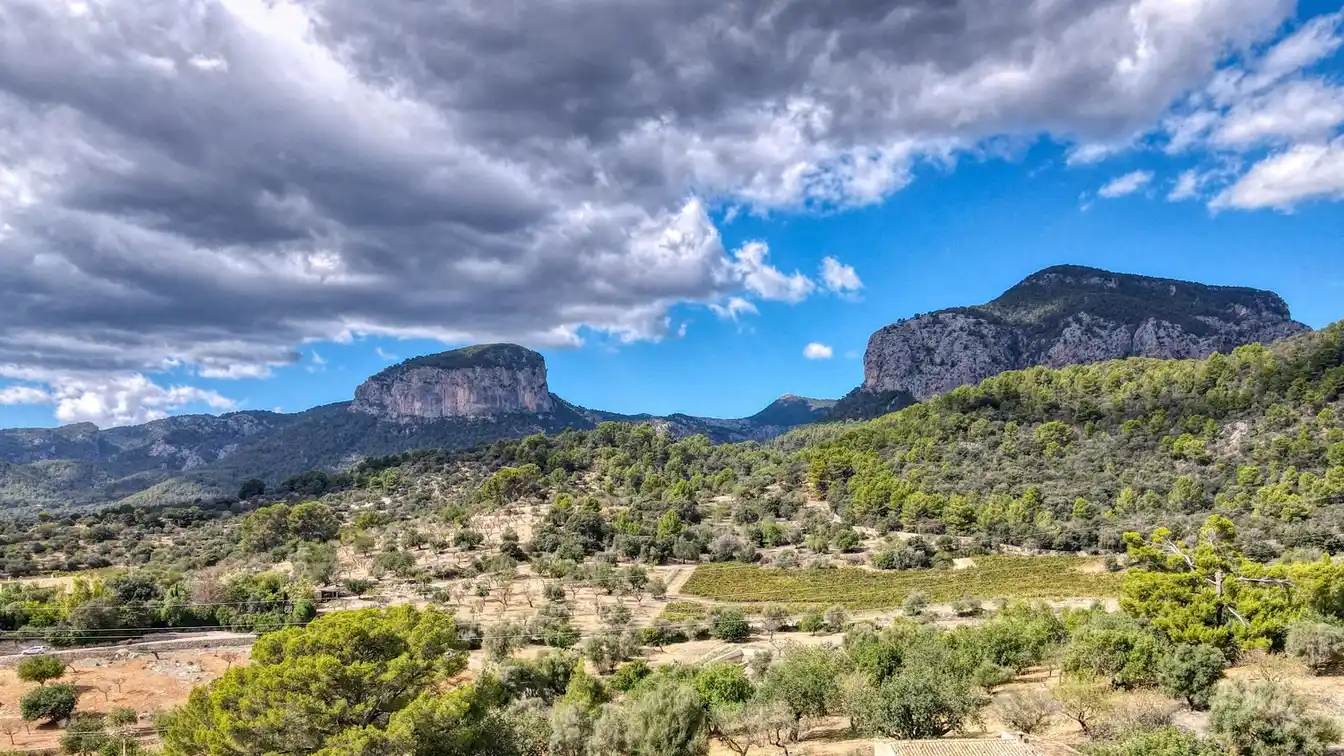 Expansive Property Offering Unique Possibilities
