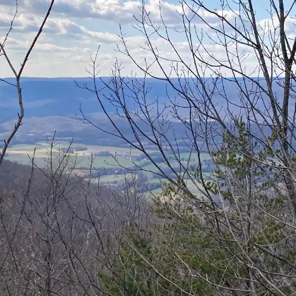 INCREDIBLE 10.8-ACRE PROPERTY