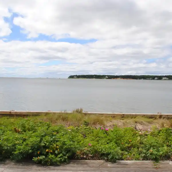 PRISTINE BEACH COTTAGE FOR RENT
