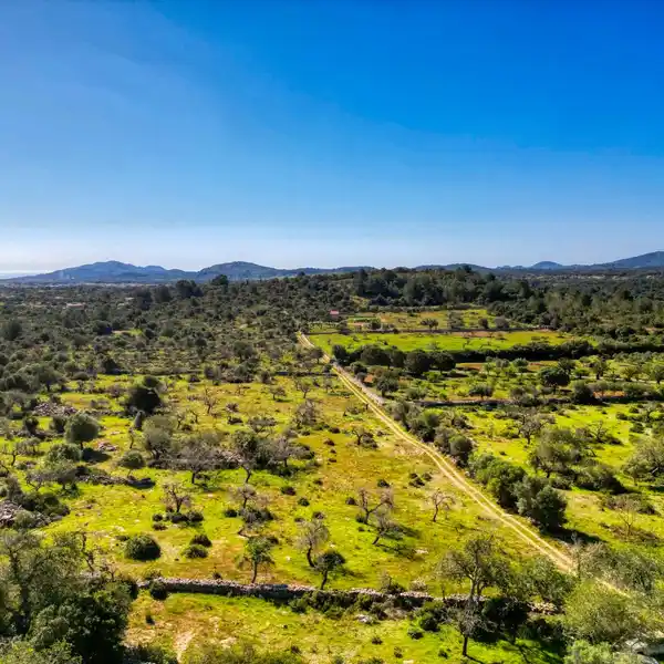 LARGE PLOT WITH HOUSE TO RENOVATE SURROUNDED BY NATURE IN ARTà