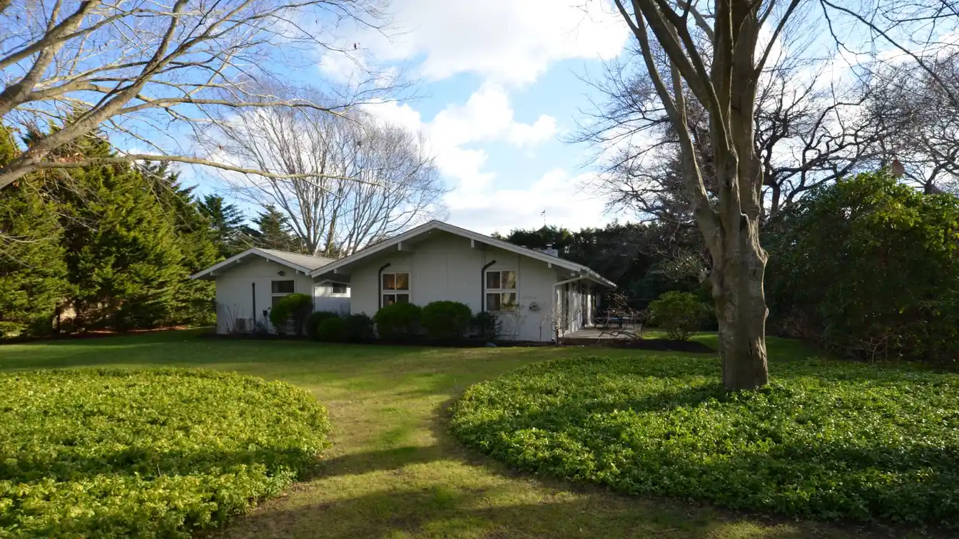 Newly Renovated Modern Oasis