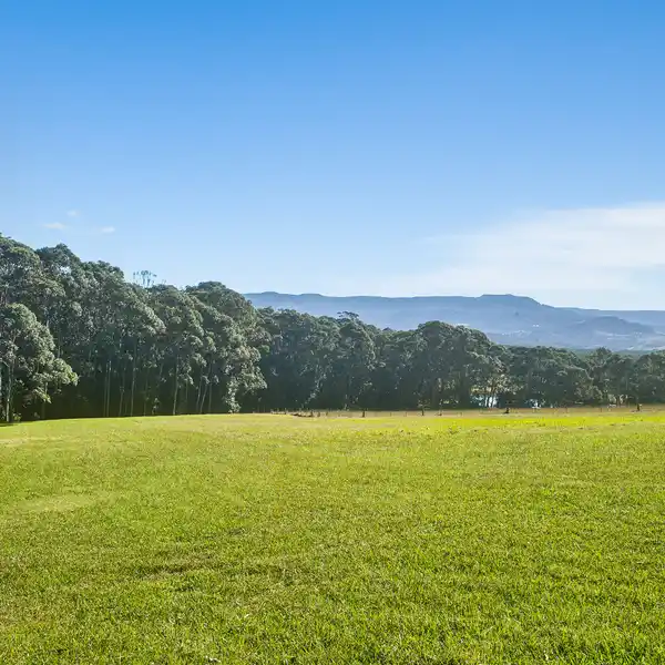 INVITING HOMESTEAD